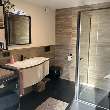 Ambiente 1 アパート ナウムブルク（ザーレ）