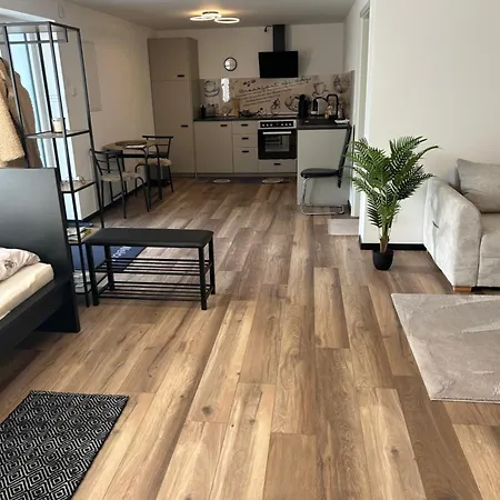 Ambiente 1 アパート ナウムブルク（ザーレ）