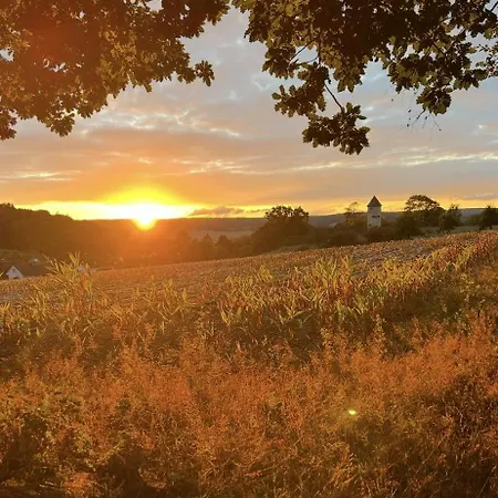 アパート Ambiente 1 ナウムブルク（ザーレ）