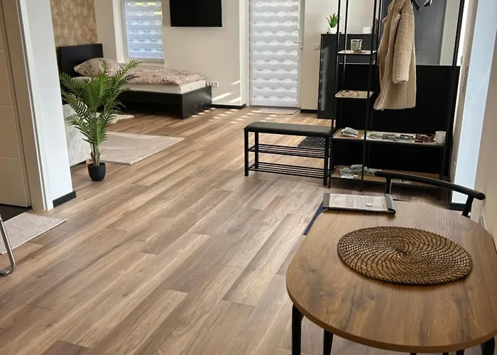 Apartment Ambiente 1 *